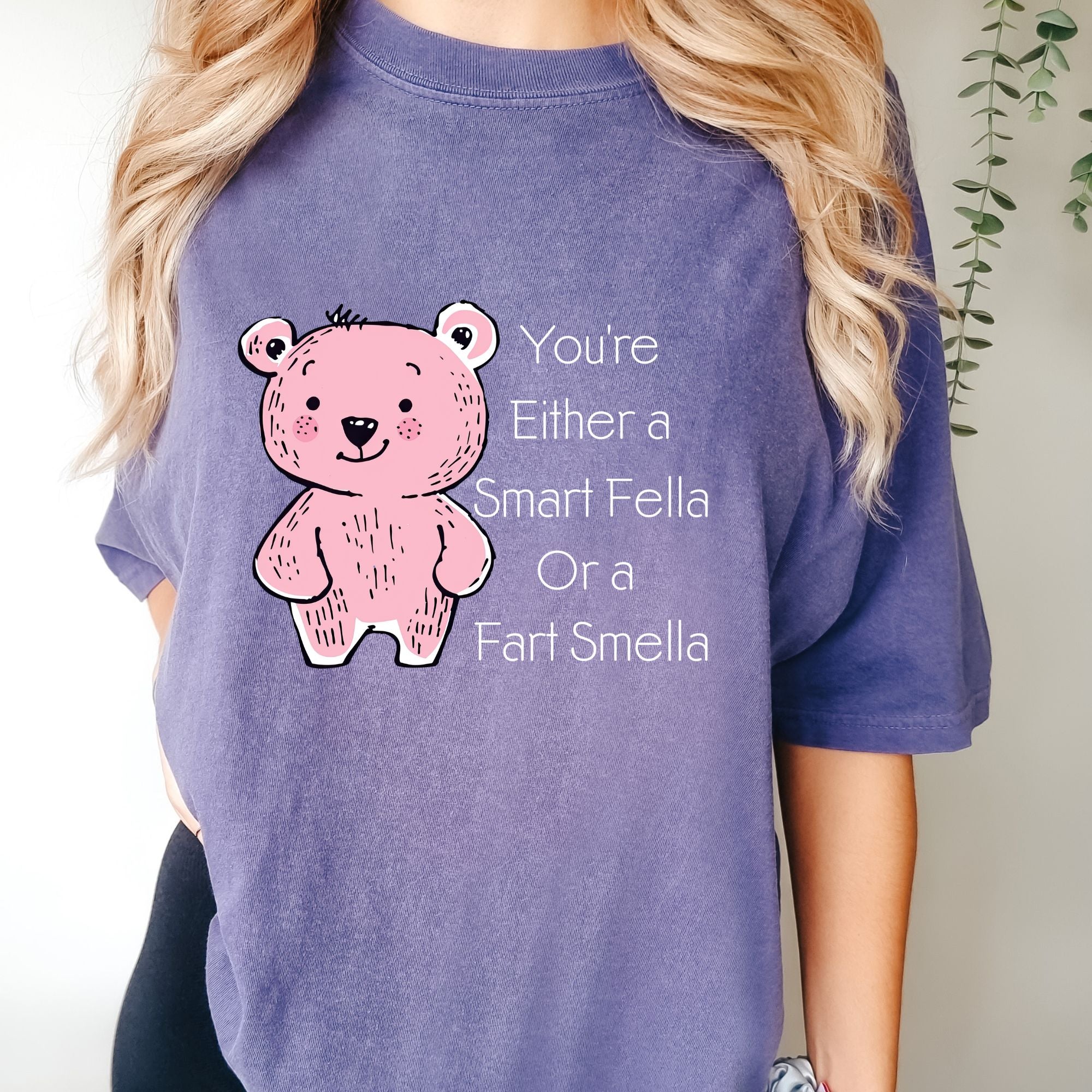 You're Either a Smart Fella Or a Fart Smella T-shirt