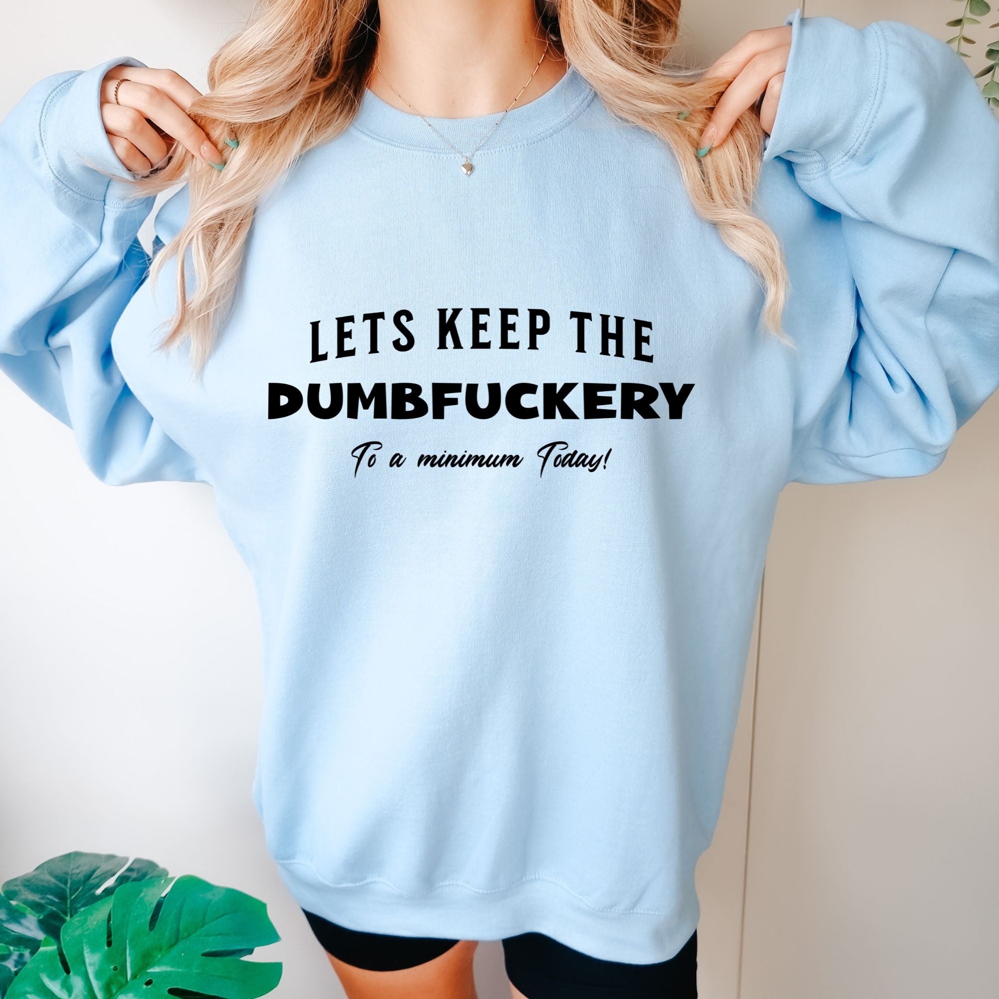 Let's Keep The Dumbfuckery To a Minimum Today Sweatshirt